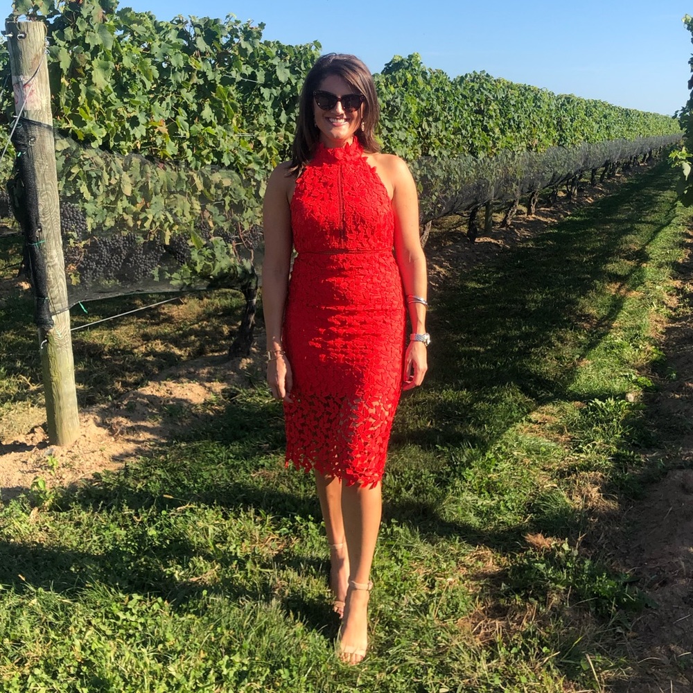 Bardot “Gemma” crochet sheath dress